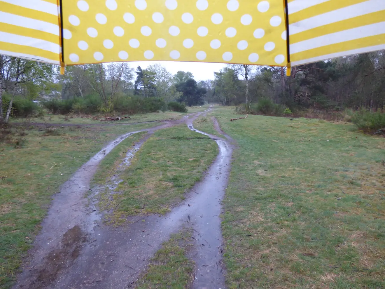 Ook in de buurt van Hilversum viel regen - Chris Meewis