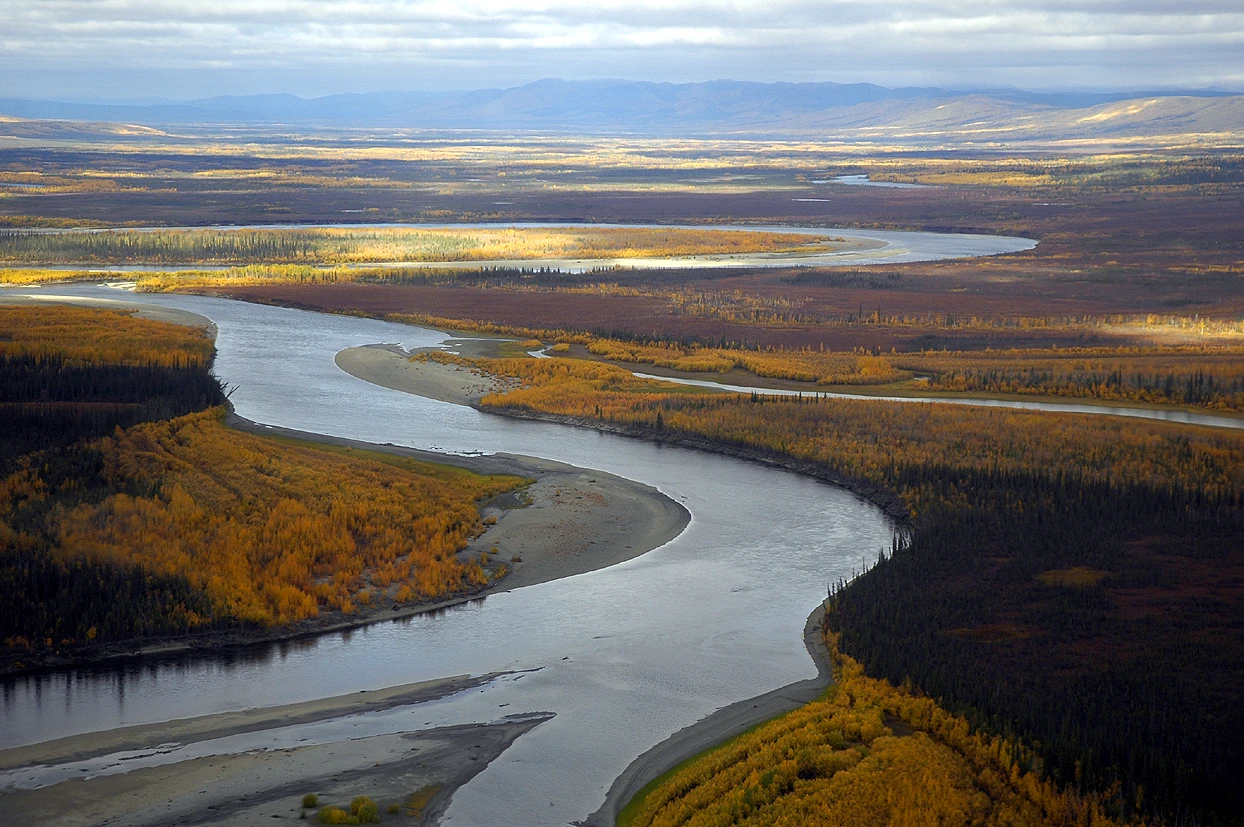 Alaska kent dit jaar een zeer koude zomerstart - US Fish and Wildlife Service