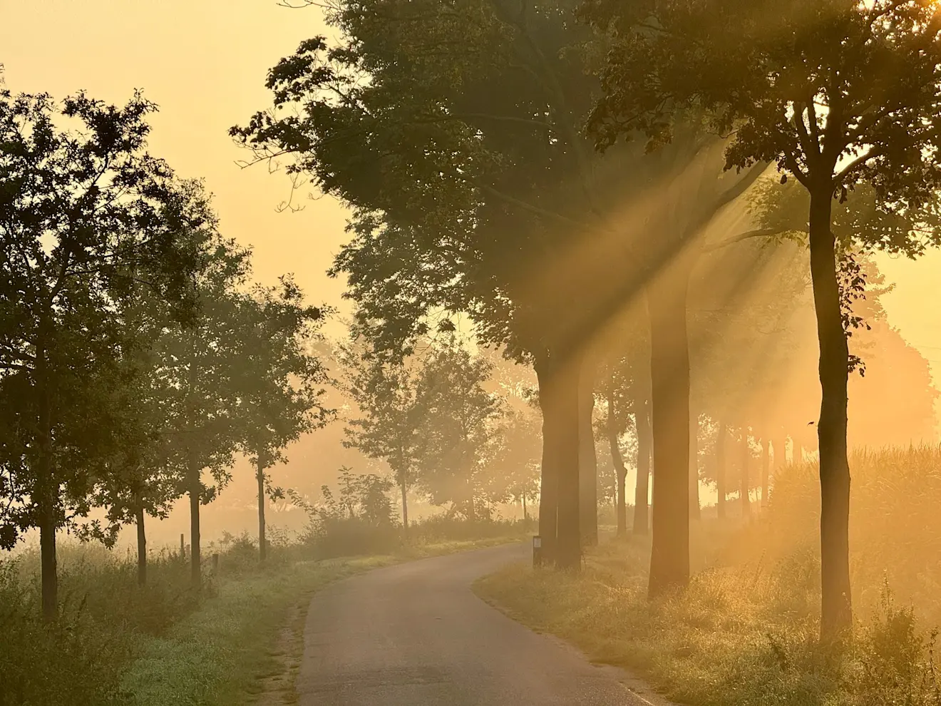 Veel vocht in de lucht, vanochtend in Montfort - Thieu Smeets