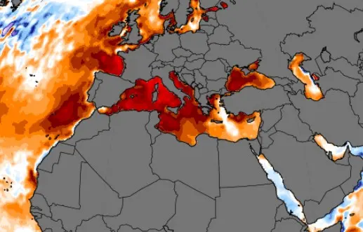 De afwijking van de watertemperatuur in de Middellandse Zee ten opzichte van normaal, vanochtend. Tot meer dan 5 graden boven normaal aan toe - Climate Reanalyzer