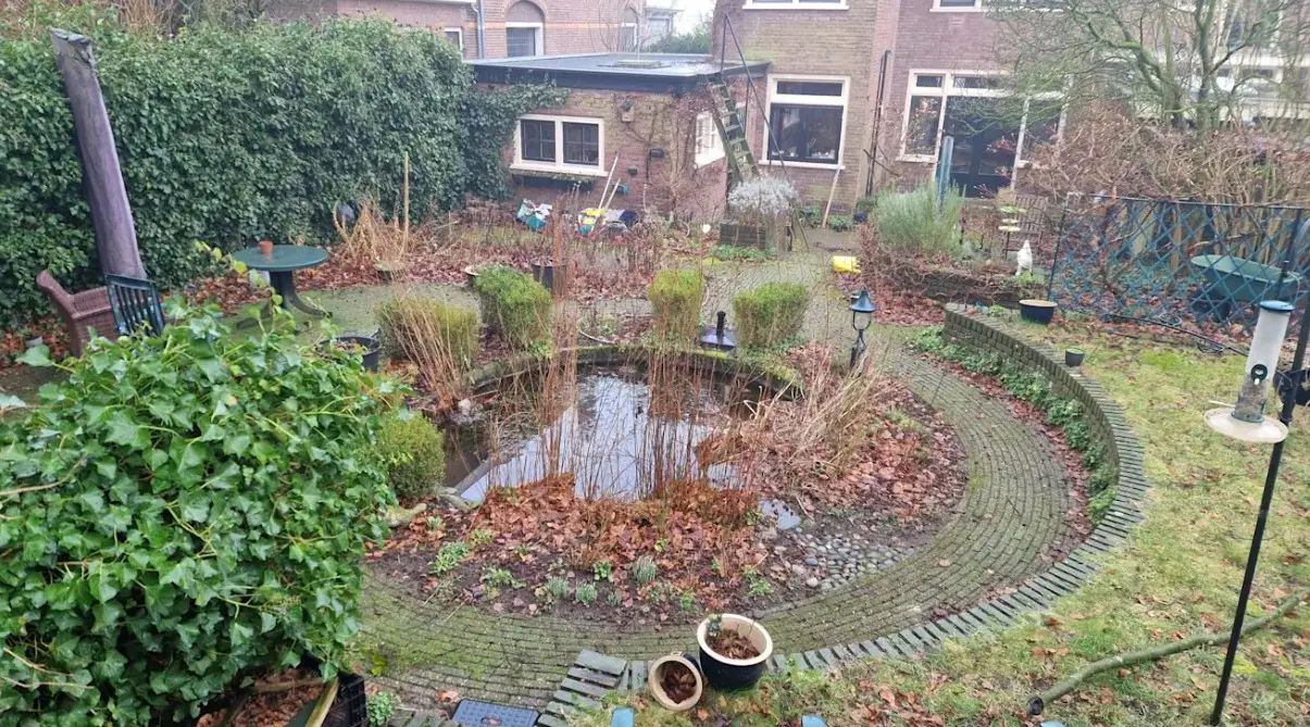 De vijver in onze tuin - Reinout van den Born