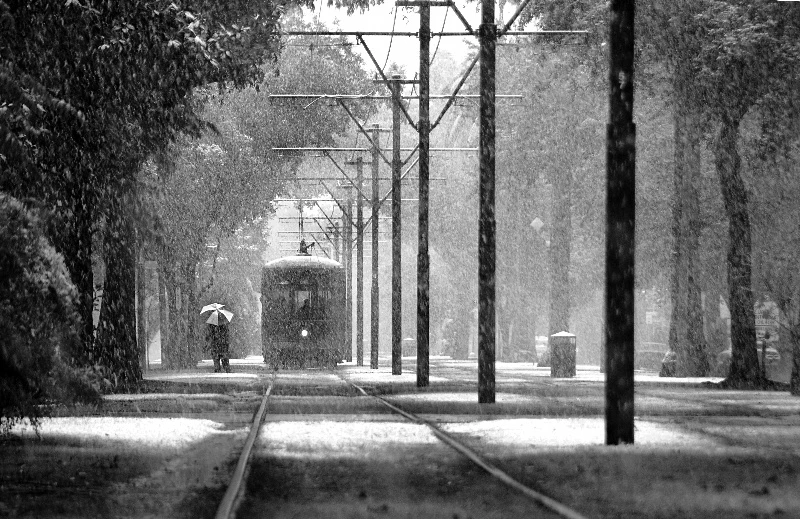 Sneeuw in New Orleans op 1 december 2008 - A. Murat Eren