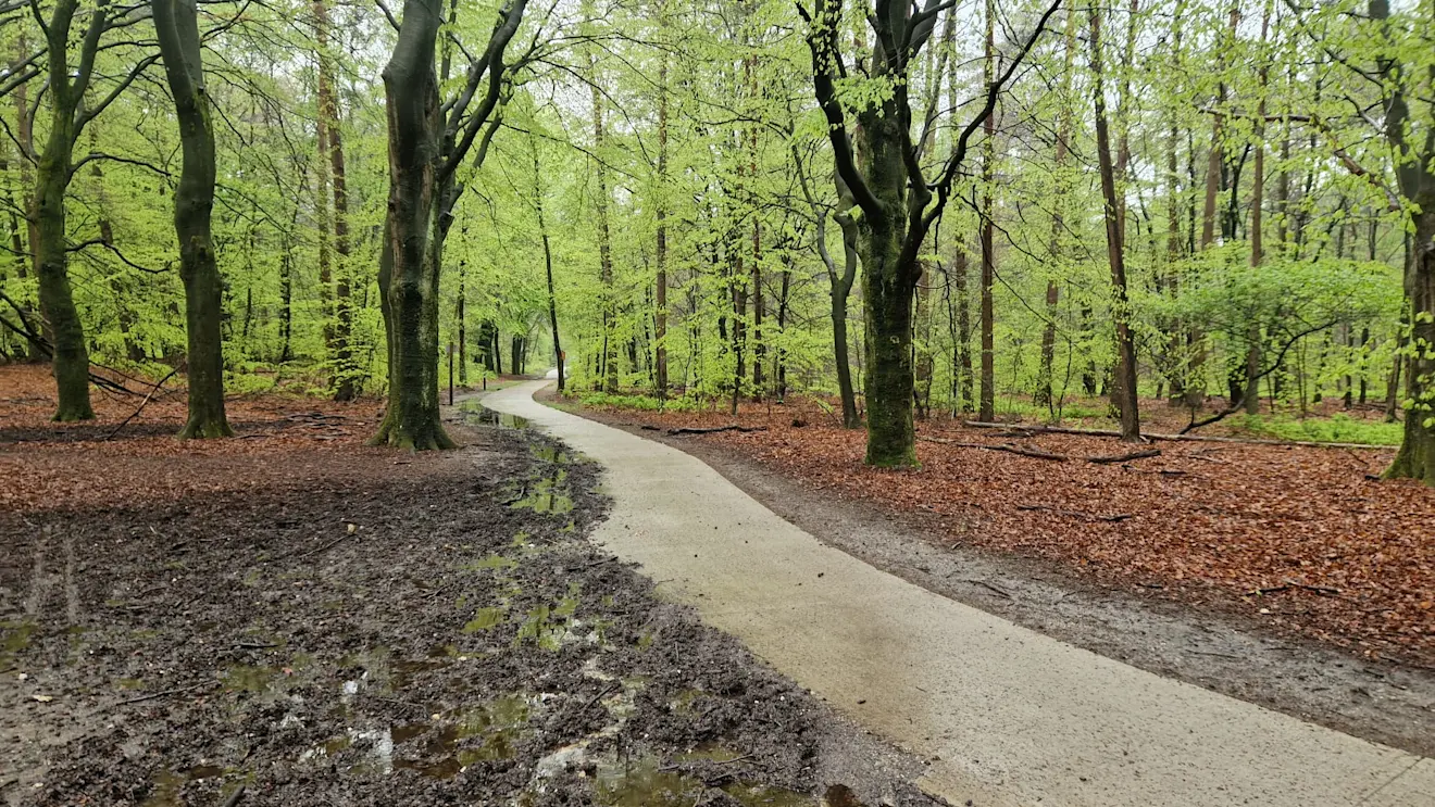 Modder naast het fietspad - Reinout van den Born