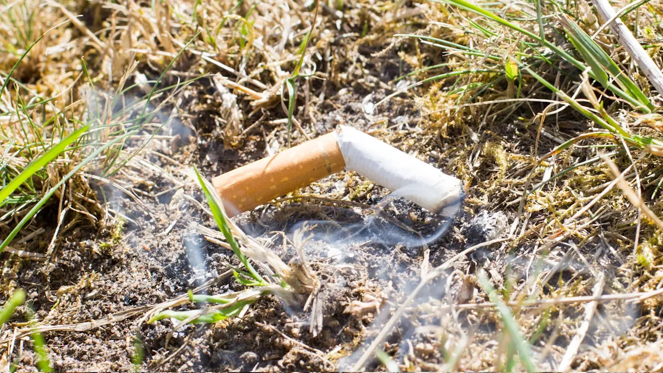 Het is erg droog in de natuur. Eén brandende peuk kan al een natuurbrand veroorzaken - Ab Donker