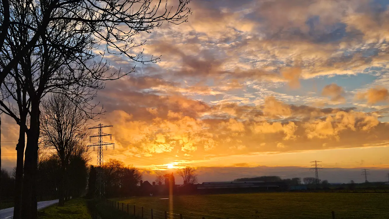 Lentweer - Nely van Frankenhuyzen