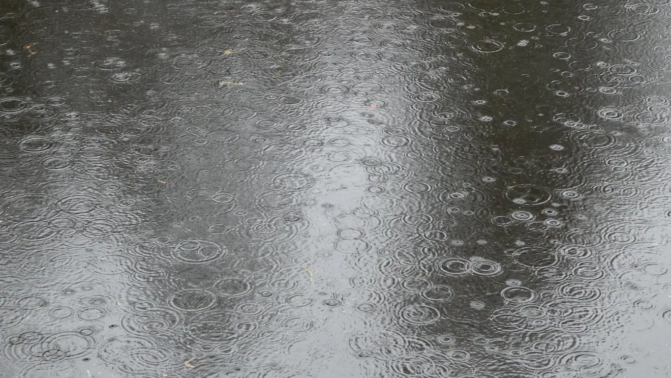 Op veel plaatsen in Nederland heeft het donderdag flink geregend, zoals hier in Heerenveen - Albert Thibaudier