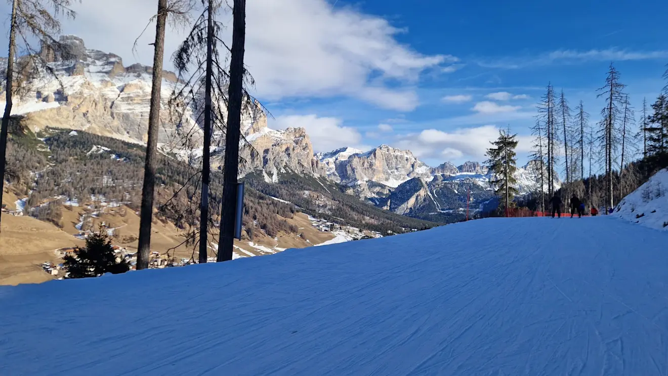 Sneeuw in de schaduw, bruin in de zon - Reinout van den Born