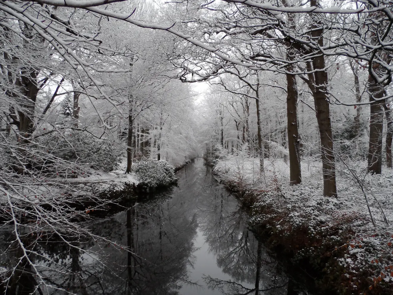 Sneeuw in Oranjewoud, op 11 december 2017 - Albert Thibaudier