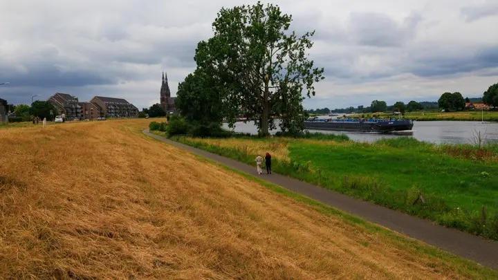 Op steeds meer plaatsen in Nederland slaat de droogte toe, zoals hier op de Maasdijk in Cuijk - Henk Straatman