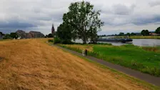 Op steeds meer plaatsen in Nederland slaat de droogte toe, zoals hier op de Maasdijk in Cuijk - Henk Straatman