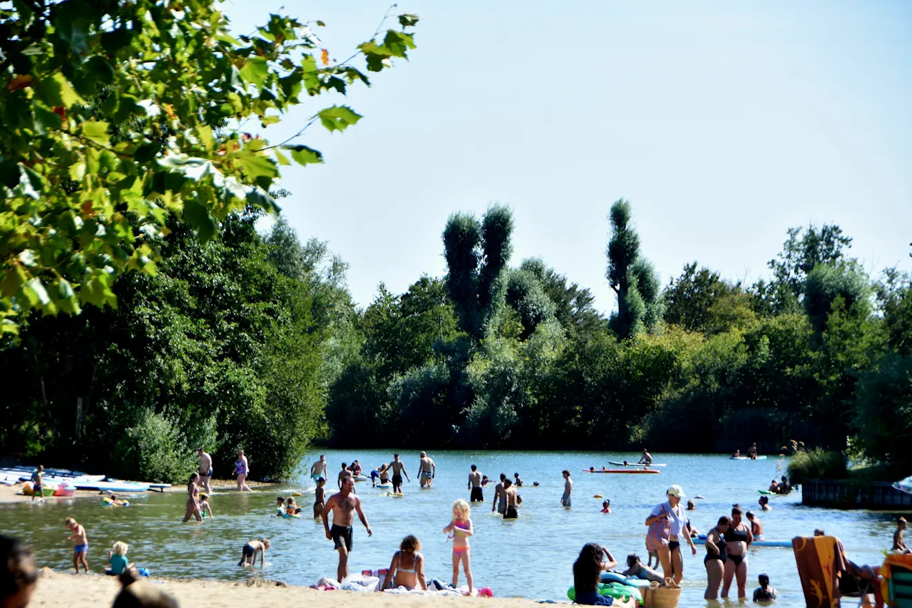 Verkoeling zoeken in het water in Beusichem - Huibert Boon