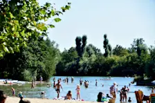Verkoeling zoeken in het water in Beusichem - Huibert Boon