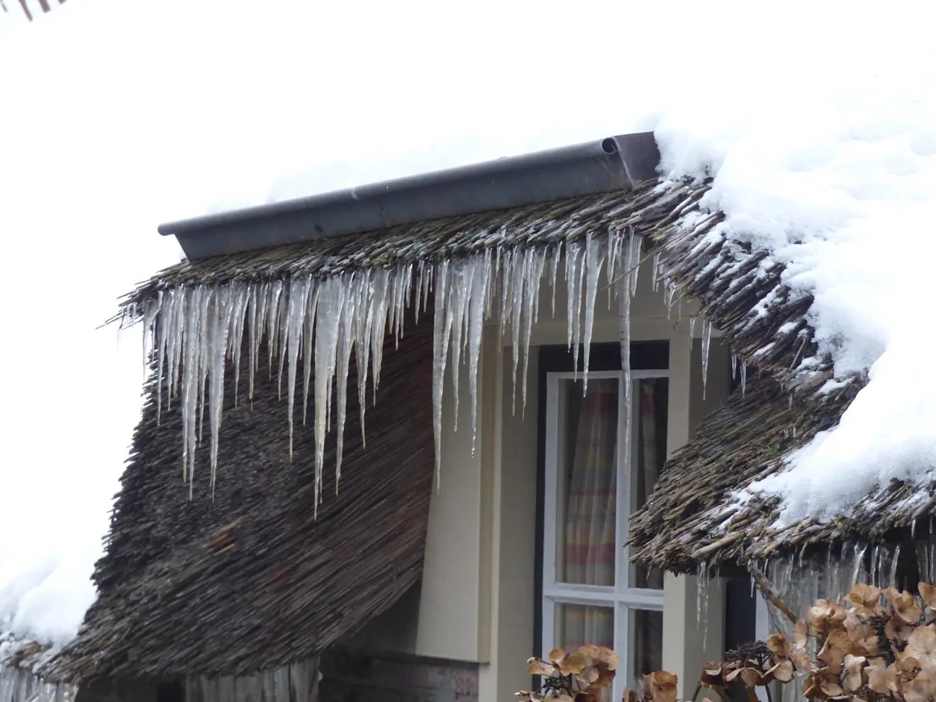 IJspegels - Chris Meewis