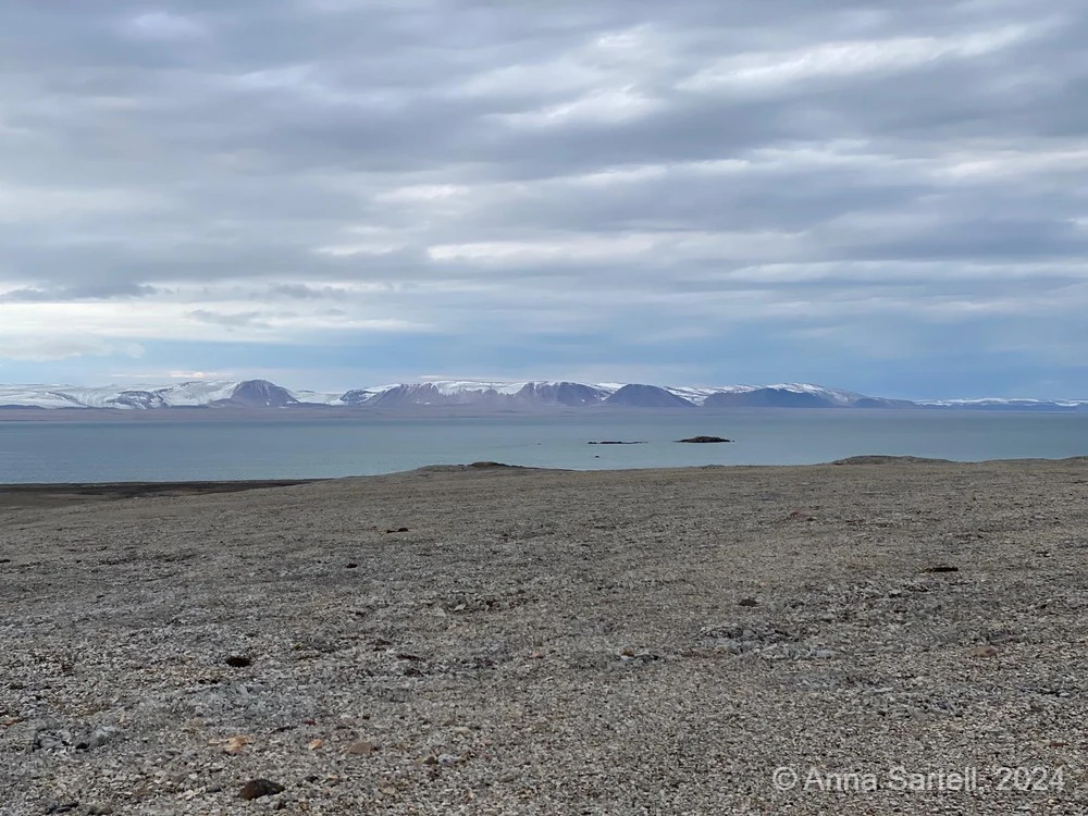 Delen van Spitsbergen liggen boven 80 graden noorderbreedte. En dan zo warm in de zomer - Anna Sartell