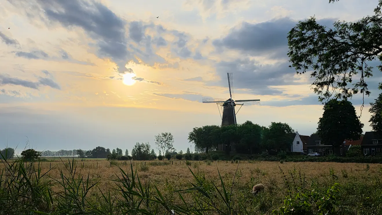 Het wordt deze week erg warm, maar tegelijkertijd hebben we in Nederland op het gebied van warmte ook al een aardig verleden opgebouwd - Nely van Frankenhuyzen