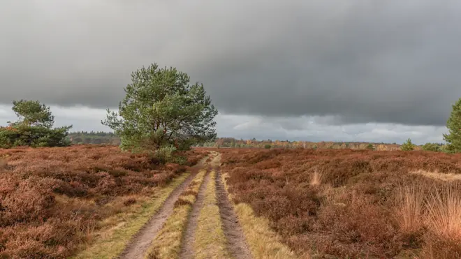 De koudste lucht is weg, maar de winterse ongemakken zijn nog niet helemaal voorbij - Henk Straatman