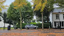 Het is de laatste tijd vaak warm geweest, toch verkleuren de bomen al volop - Nely van Frankenhuyzen