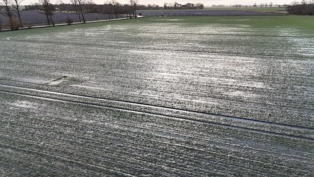 Het natte Groningse land krijgt even wat tijd om op te drogen - Jannes Wiersema