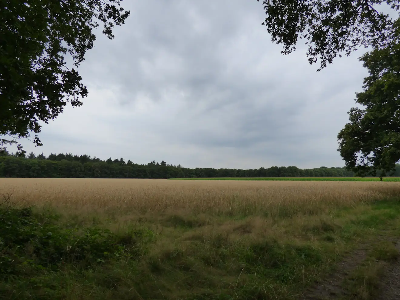 Donkere wolken boven Hilversum - Chris Meewis