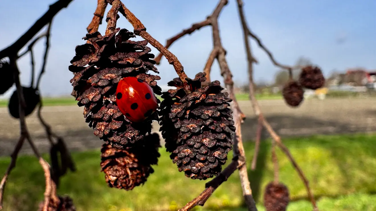 De lente heeft zich de laatste tijd alweer voluit laten zien - Jolanda Bakker