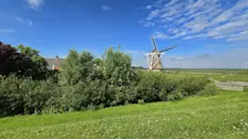 Molen De Goliath in de zon - Jannes Wiersema