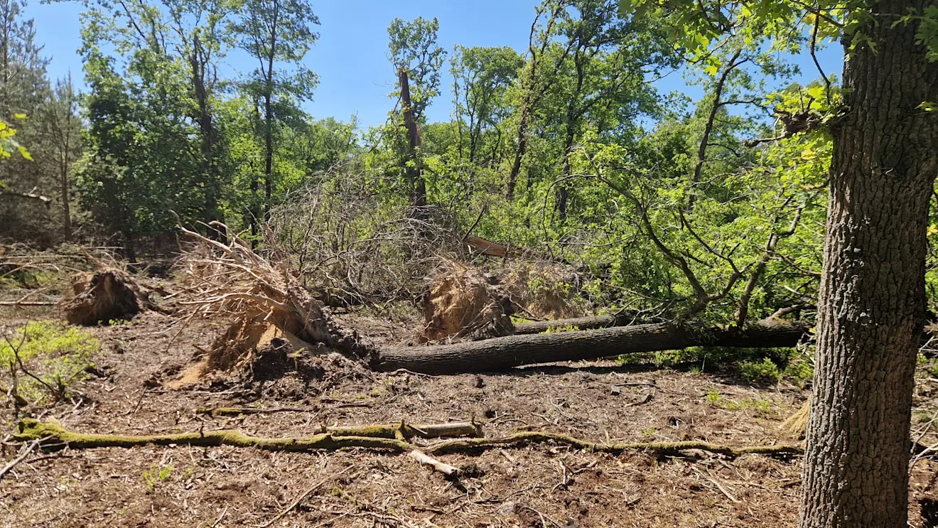 Tornado 1
