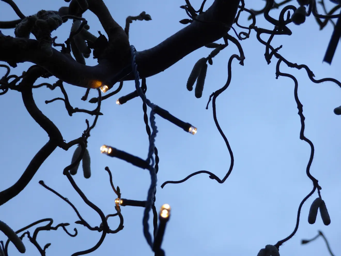 De donkere dagen voor Kerst - Chris Meewis