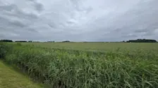 Grijze luchten boven Groningen - Jannes Wiersema.