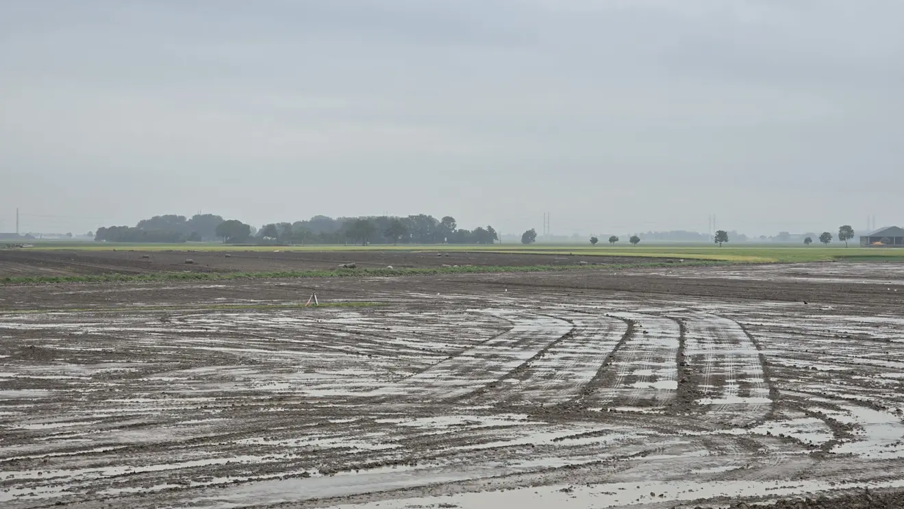 Het land bij Roodeschool is kletsnat na de buien van zaterdagnacht - Jannes Wiersema