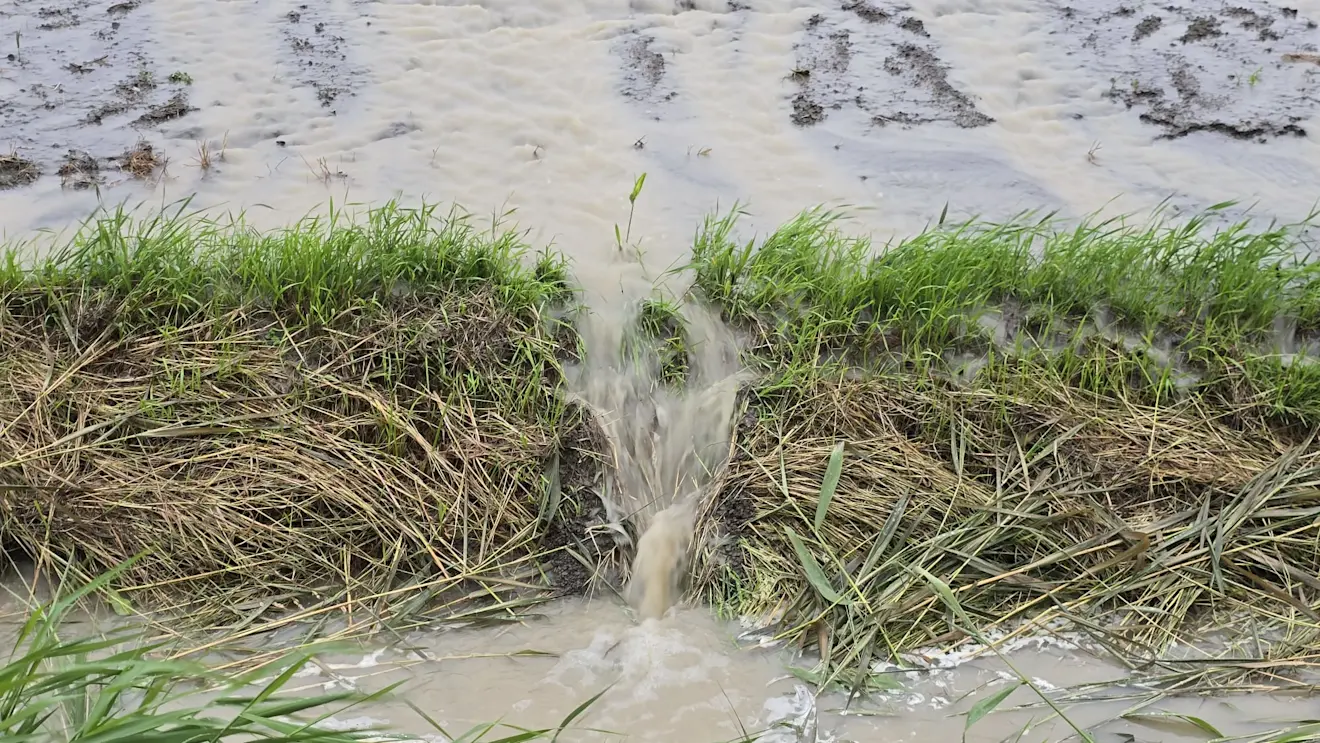 Het water wordt naar de sloot afgevoerd - Jannes Wiersema