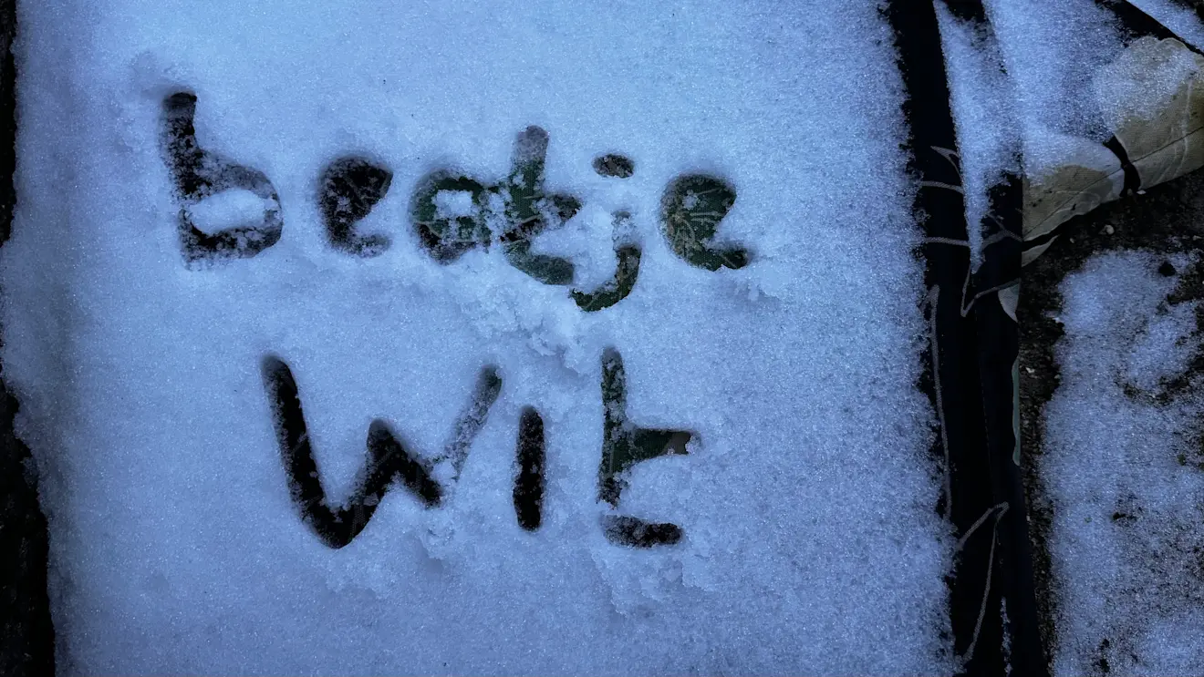 Een beetje wit - Jolanda Bakker