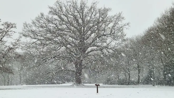 Er is dit jaar in januari veel sneeuw gevallen, zoals hier in Park Daalhuizen in Velp - Reinout van den Born