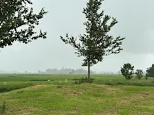 Op veel plaatsen in het noorden en oosten viel gisteren af en toe regen, tot 10 millimeter in het oosten aan toe - Stefan Bleeker