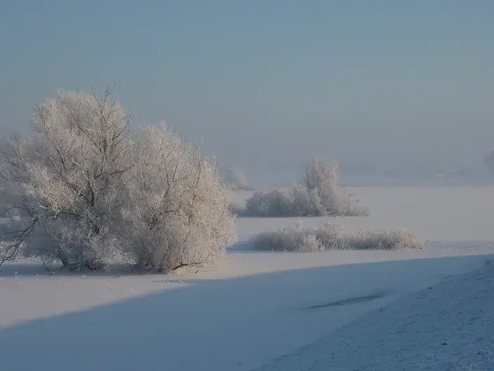 Ruige rijp in de Ooijpolder in de ochtend van 4 februari 2012 - Reinout van den Born