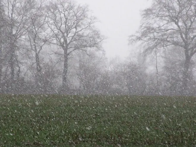 Foto ter illustratie - Tonny Morsink