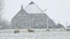 Sneeuw in Noordoost-Groningen - Jannes Wiersema