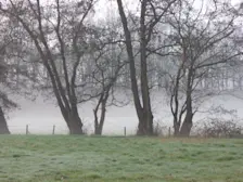 Een mistige start in Blaricum - Chris Meewis