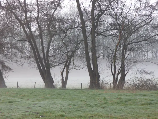 Een mistige start in Blaricum - Chris Meewis