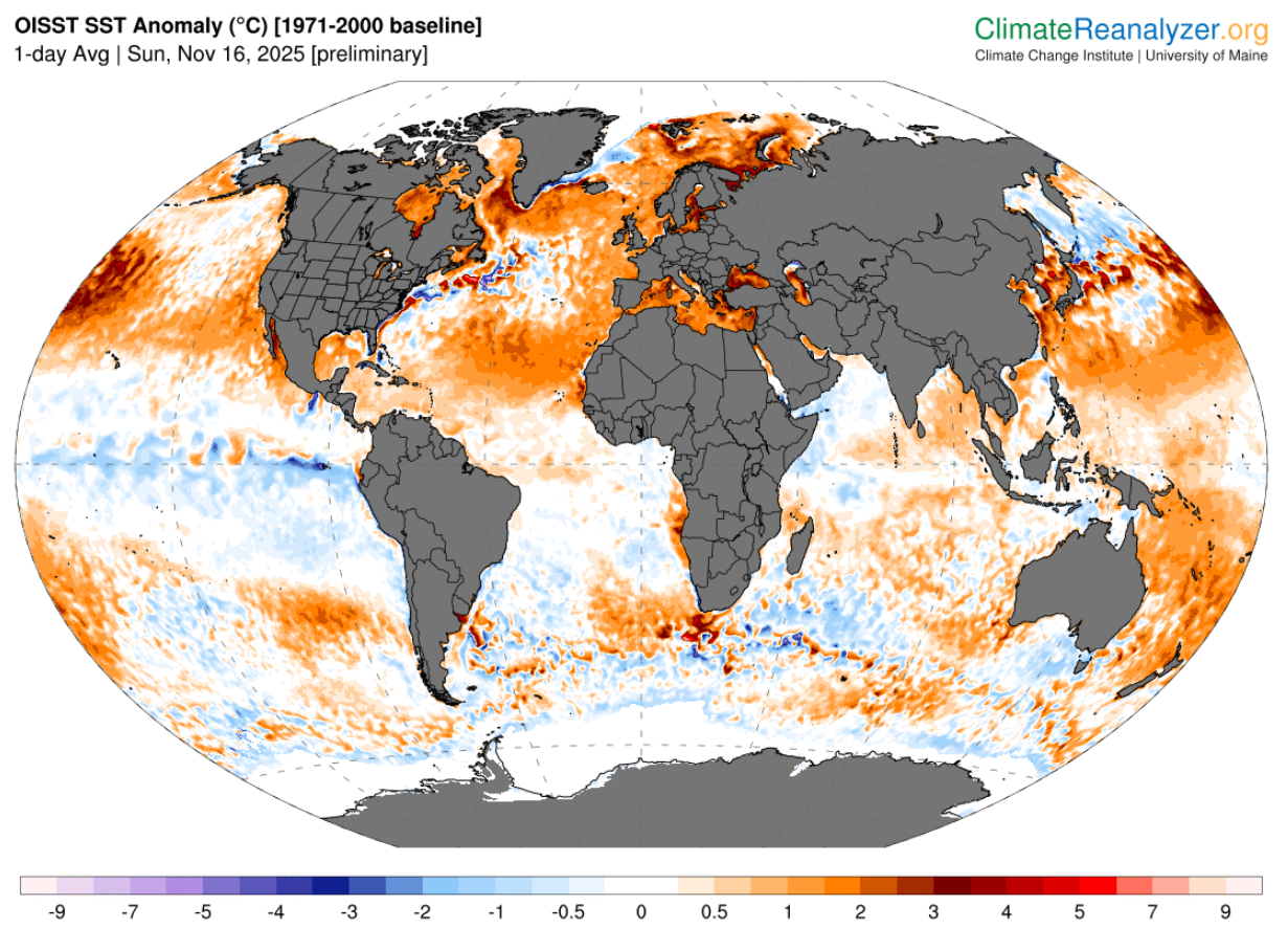 De op 16 november gemeten afwijkingen in de zeewatertemperatuur op aarde - Climate Reanalyzer