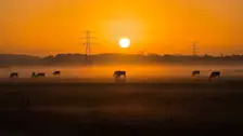 Zonsopkomst in Beusichem - Nely van Frankenhuyzen
