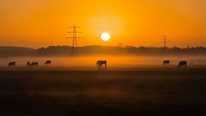 Zonsopkomst in Beusichem - Nely van Frankenhuyzen