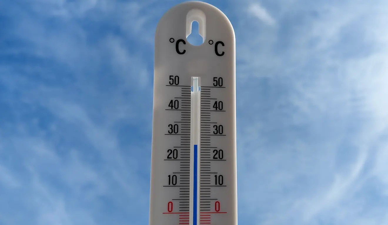 Het was gisteren nog één keer zomers in Nederland - Albert Thibaudier