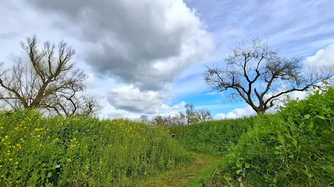Stapelwolken in de lucht - Cynthia van Leusden