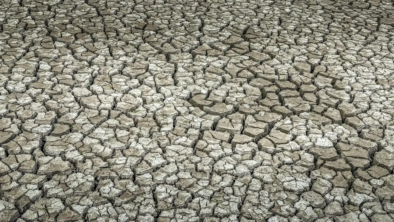 Droogte in Culemborg - John Oomen