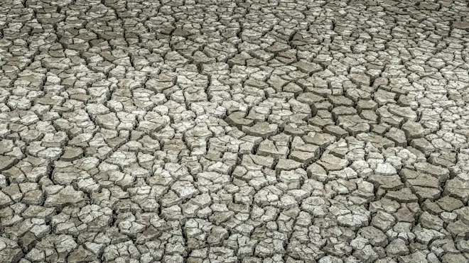 Droogte in Culemborg - John Oomen