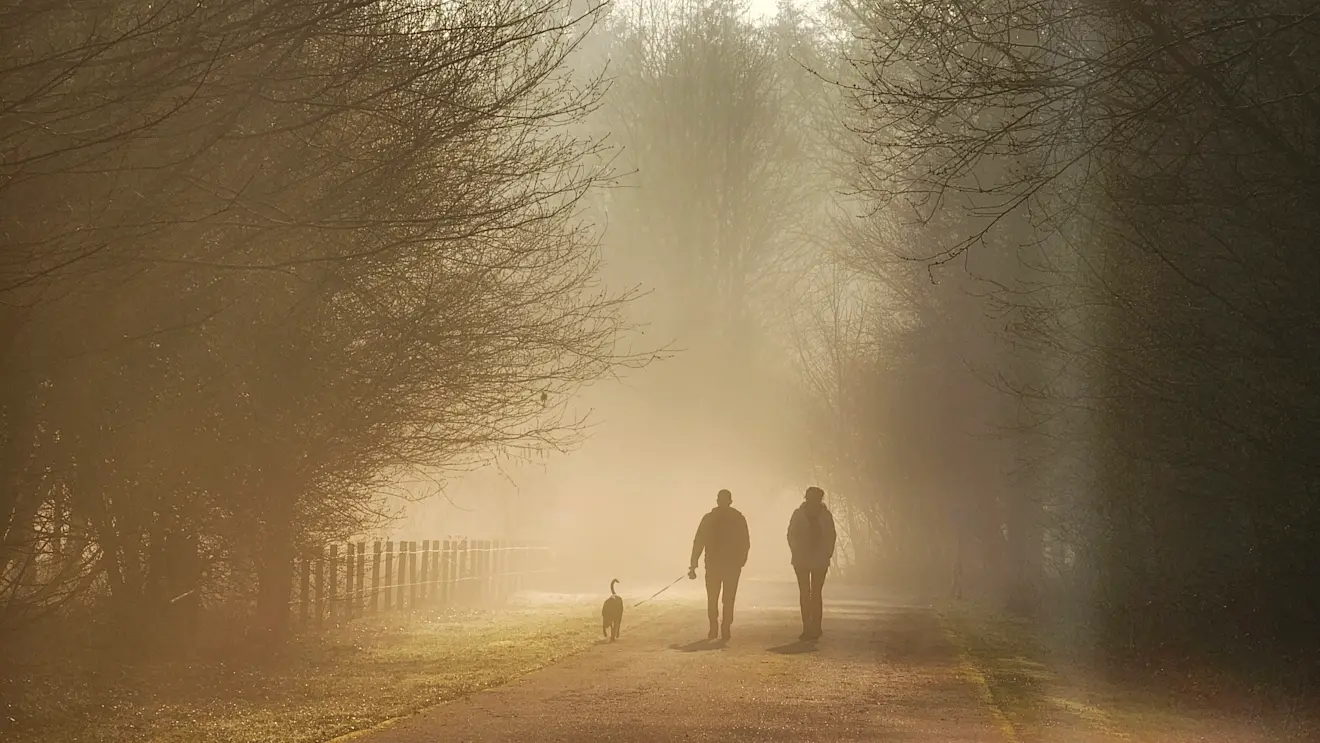 Sfeervol beeld in de mist - Janinne Sanders