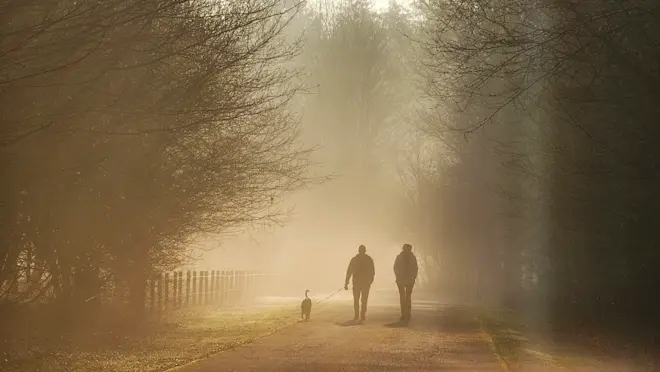 Sfeervol beeld in de mist - Janinne Sanders