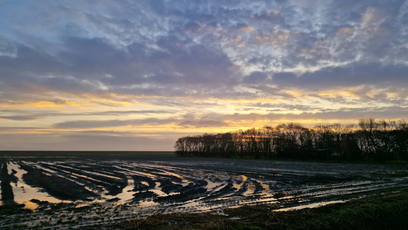 Op Texel waren vanochtend boven de natte landerijen ook opklaringen te zien - Frans Alderse Baas