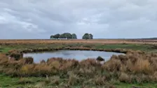 Het Hessengat op het Terletseveld ten noorden van Arnhem is het in het weekend weer helemaal vol geregend. De natuur kon het vele regenwater, er viel tot 100 millimeter, goed aan - Reinout van den Born