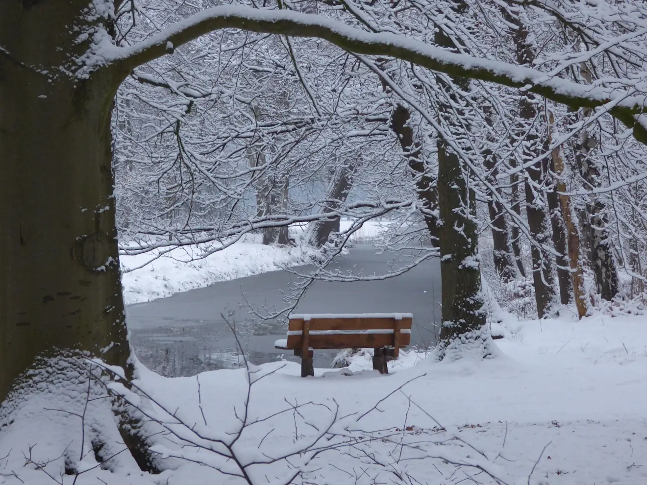 Een besneeuwd 's-Graveland - Chris Meewis